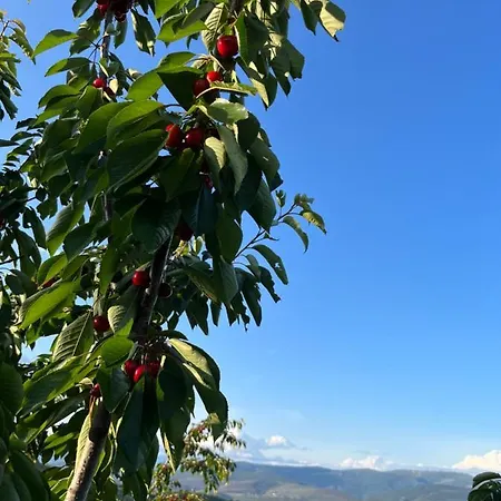 La Casina De La Yeye